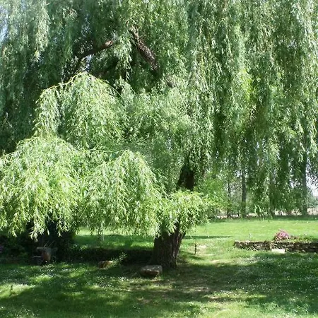 Bed & Breakfast Maison Basta 3*